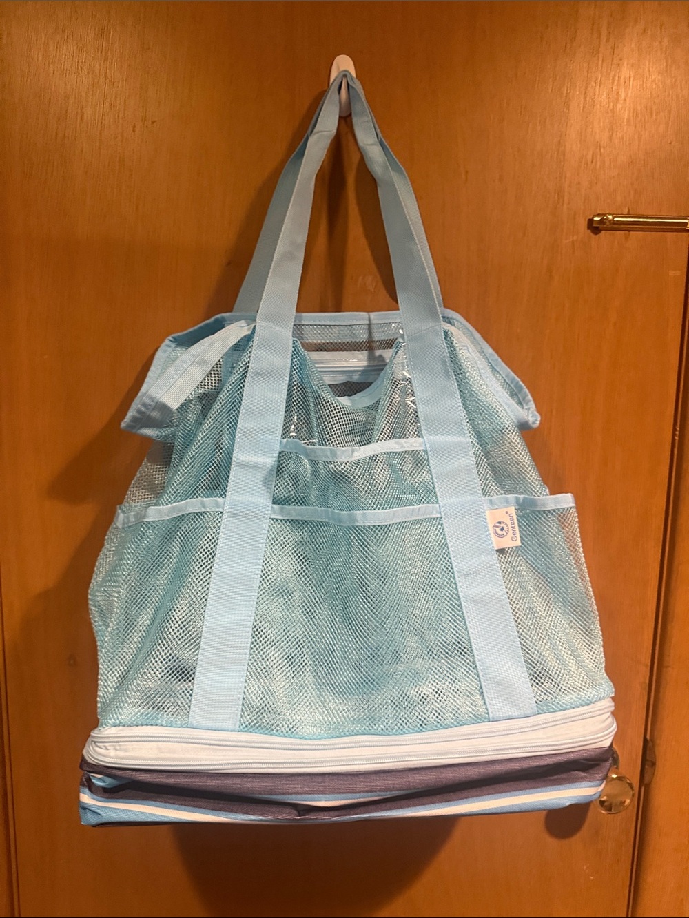 Light Blue Mesh Tote Organizer by